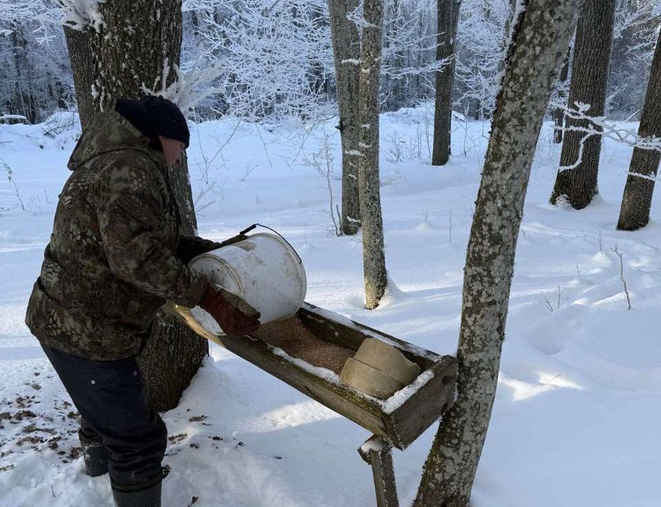 Как спасают диких животных зимой узденские охотники
