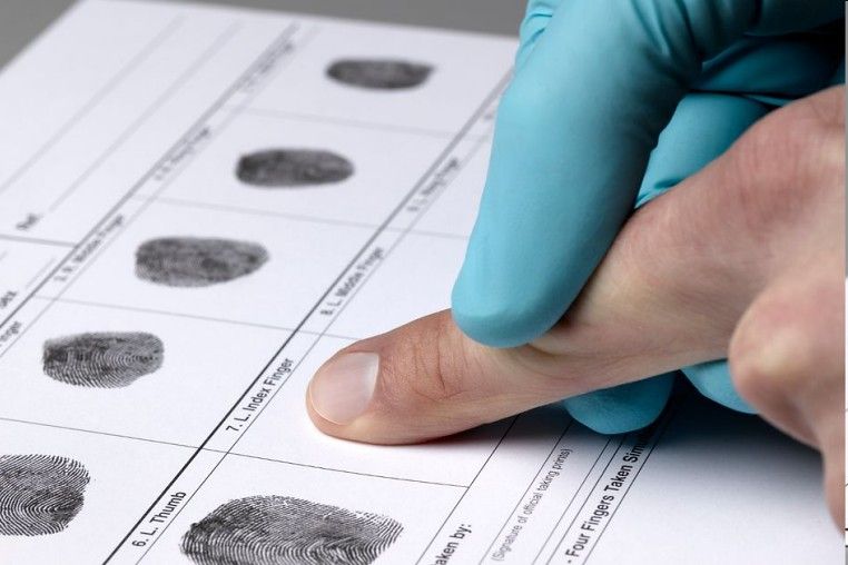 дактилоскопия