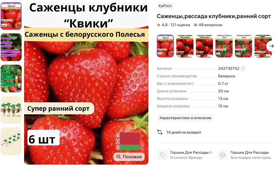 саженцы клубники