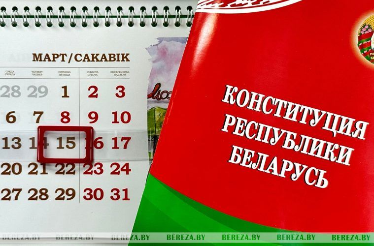 Конституция