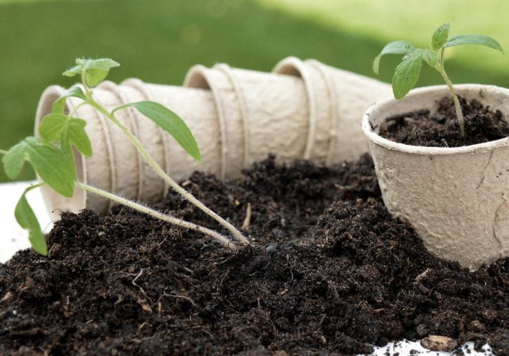 Что сеять в апреле: календарь работ по декадам