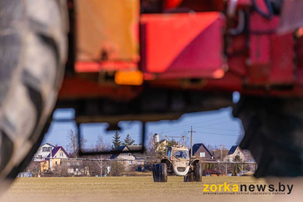 Роса в поле