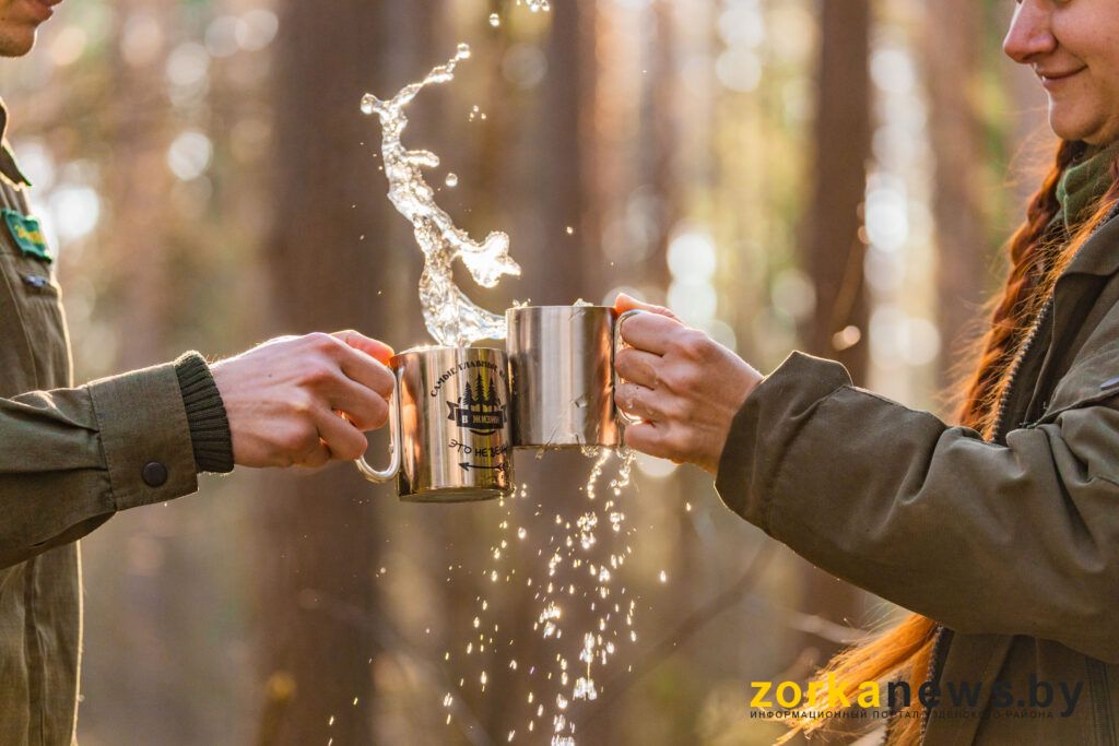 Сок пошел. В Лошанском лесничестве приступили к заготовке березовика