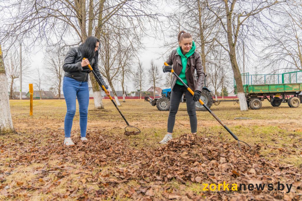 Кухаревич, Малашевич