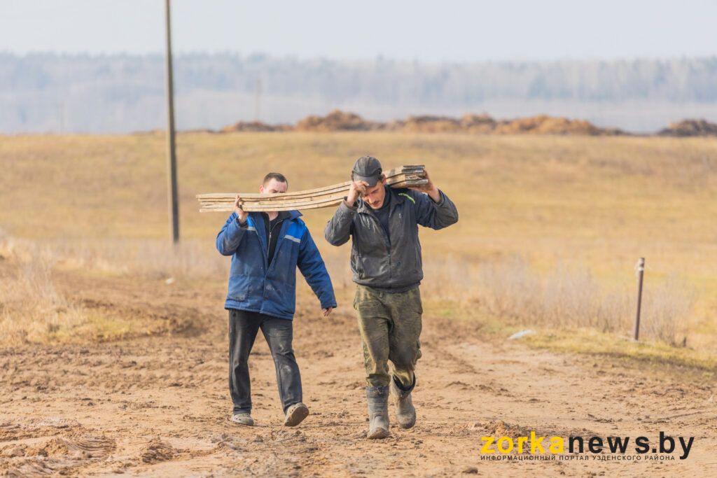 мужчины несут доски