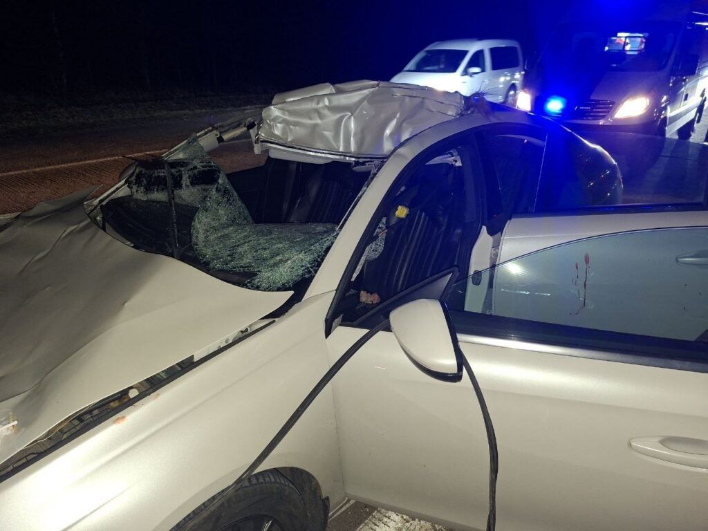 ДТП с диким животным в Узденском районе: водитель в больнице, животное погибло