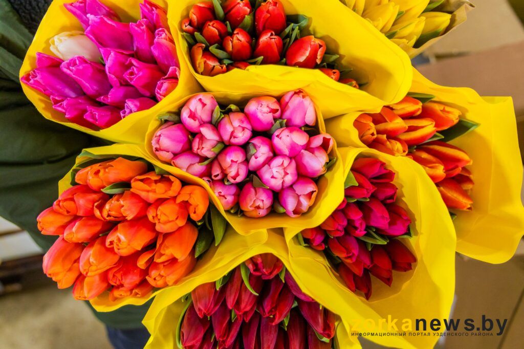 букеты из тюльпанов