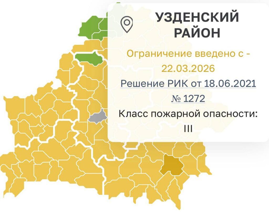 Штраф до 540 рублей: что нельзя делать в лесах Узденского района с 22 марта