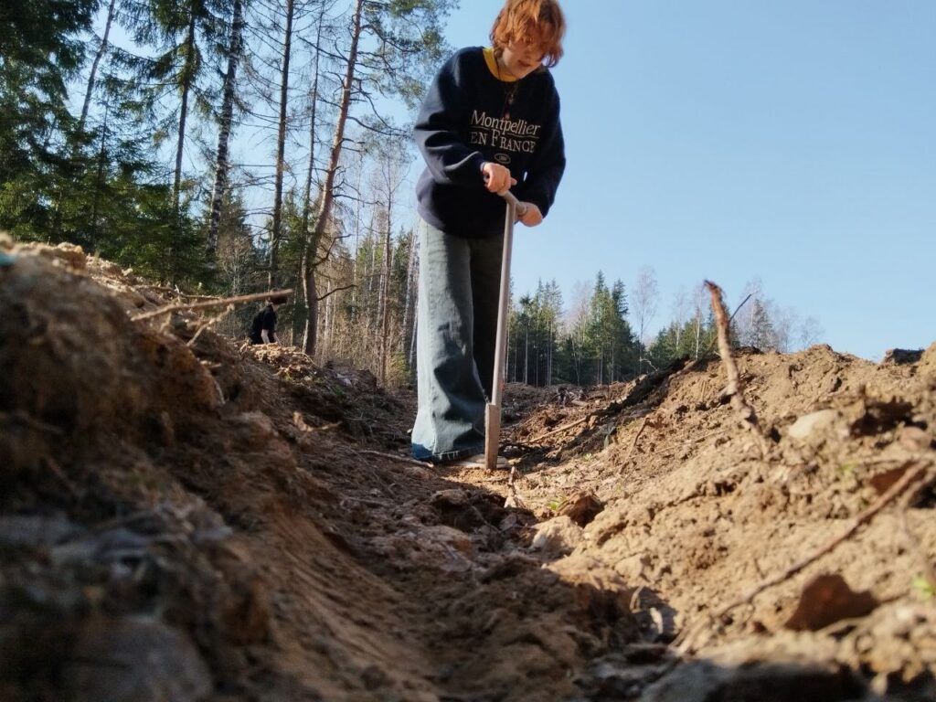 К акции по посадке леса присоединилась молодежь Узденщины