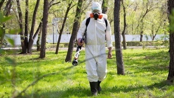 Как защитить участок от клещей в Узденском районе — рассказывает специалист