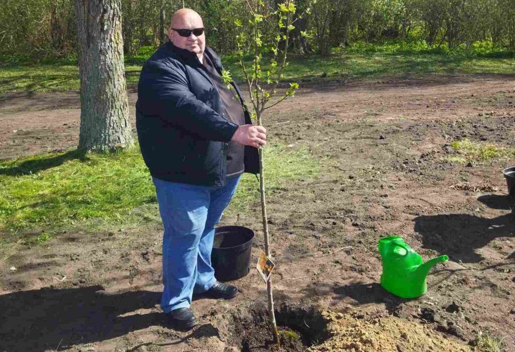 Специалисты Узденского ЖКХ приняли участие в закладке аллеи в Несвиже