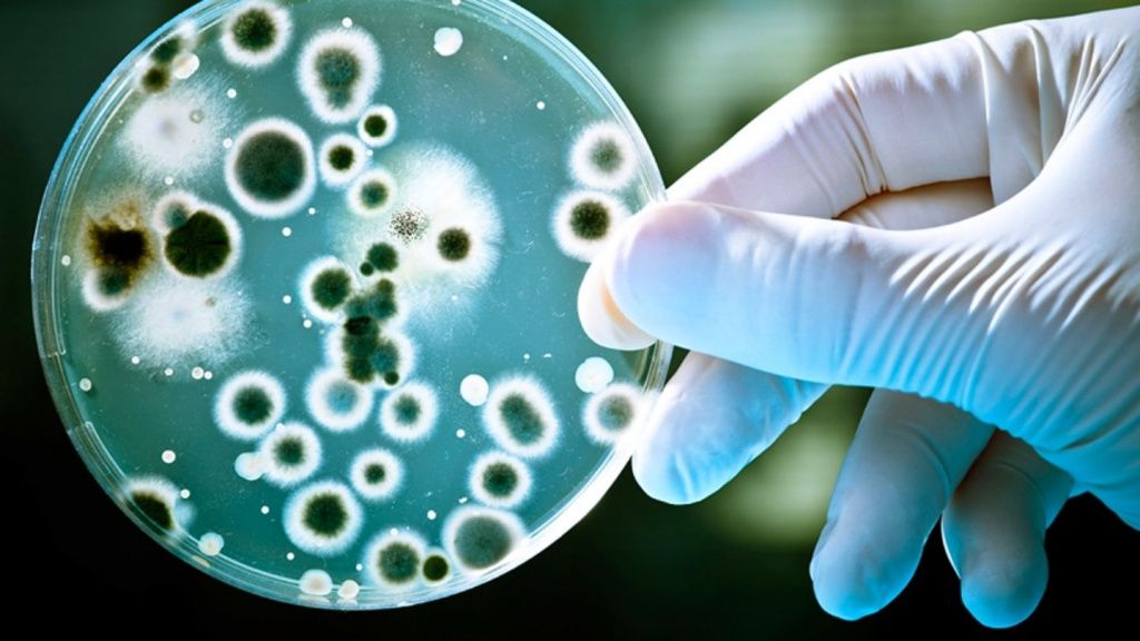 Чем опасен бруцеллез у человека — рассказывает специалист санэпидемслужбы Узды