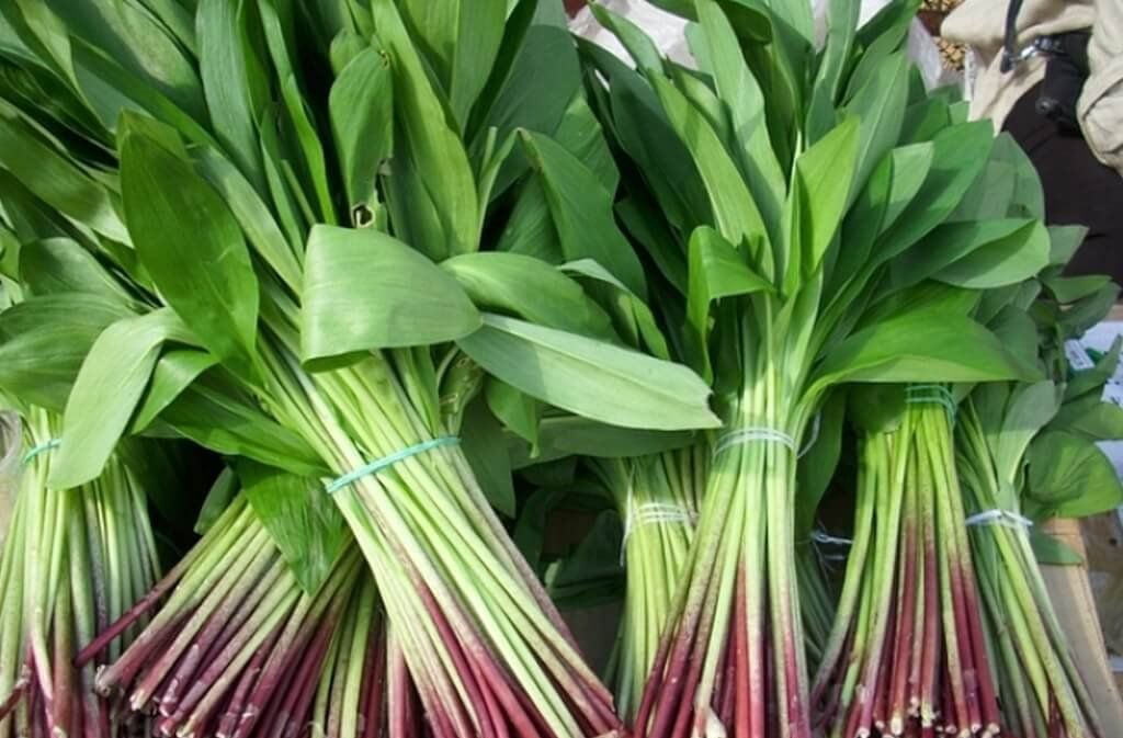 черемша в пучках