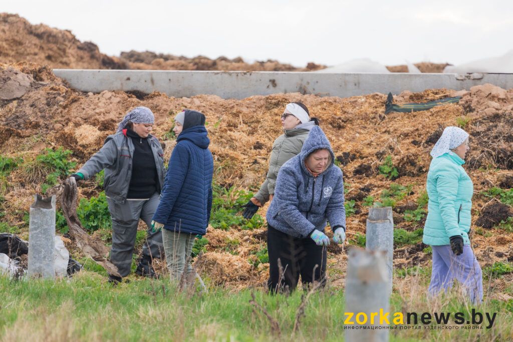 женщина на субботнике