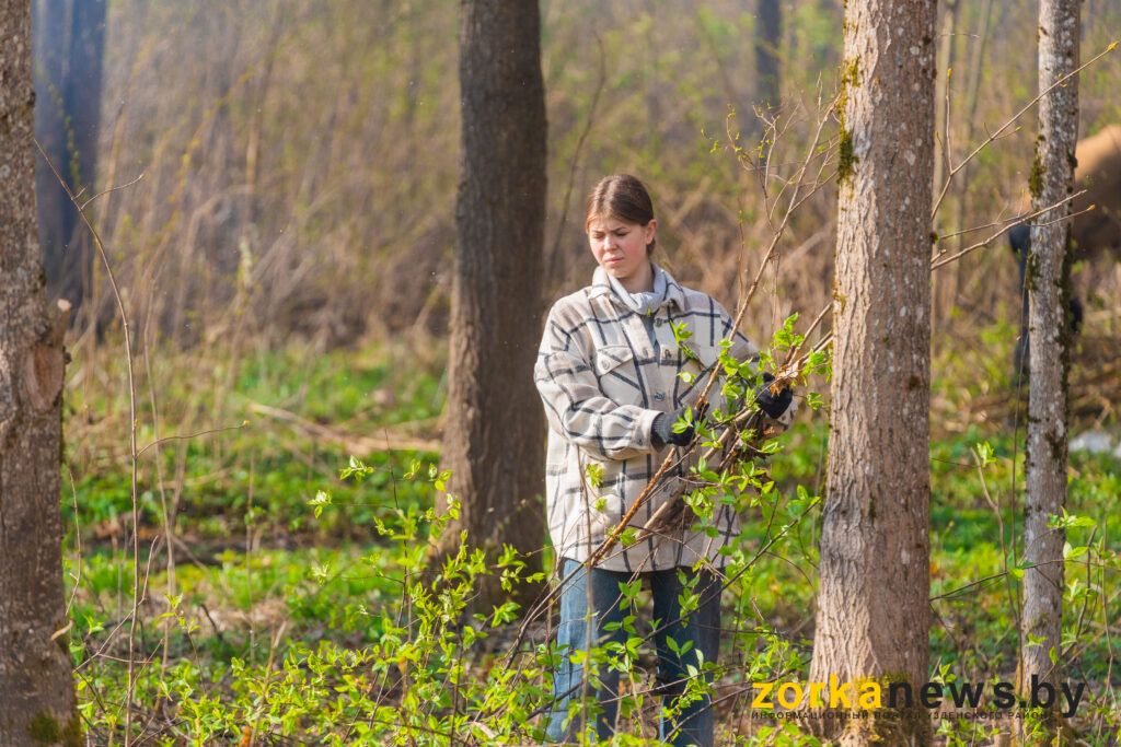 Сохраняя культурное наследие: молодежь и депутаты Узденщины присоединились к республиканскому субботнику