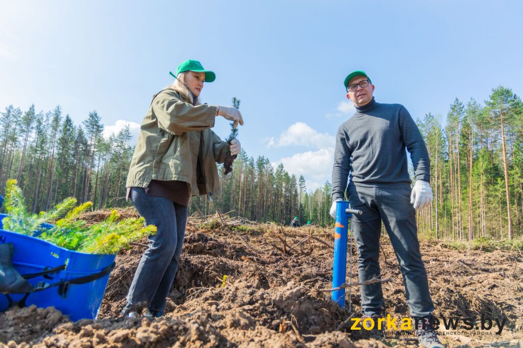 Министерство юстиции посадило лес в Узденском районе