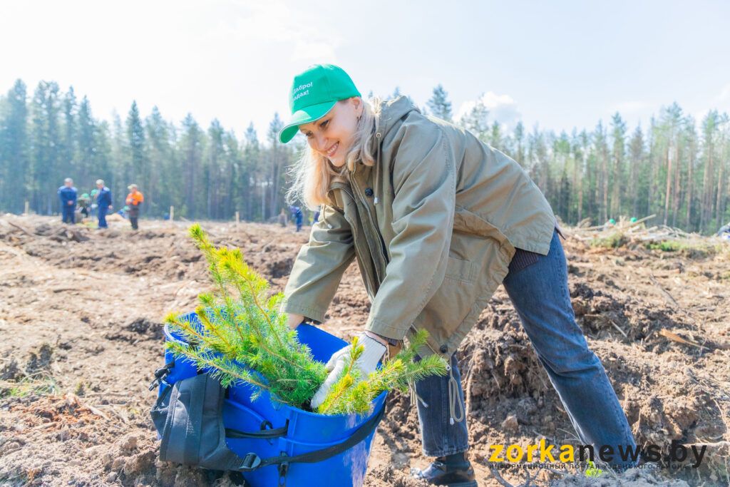 посадка леса в Слободе