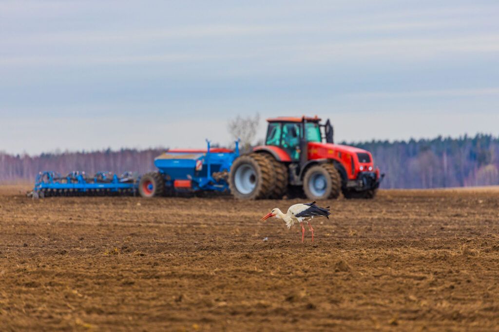 Передовики 2026: кто лидирует на посевной на Узденщине