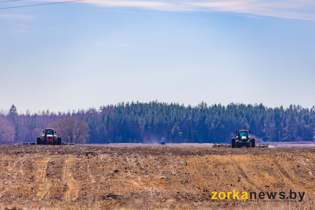 полевые работы