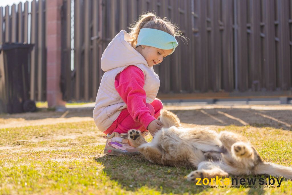 девочка играет с собакой