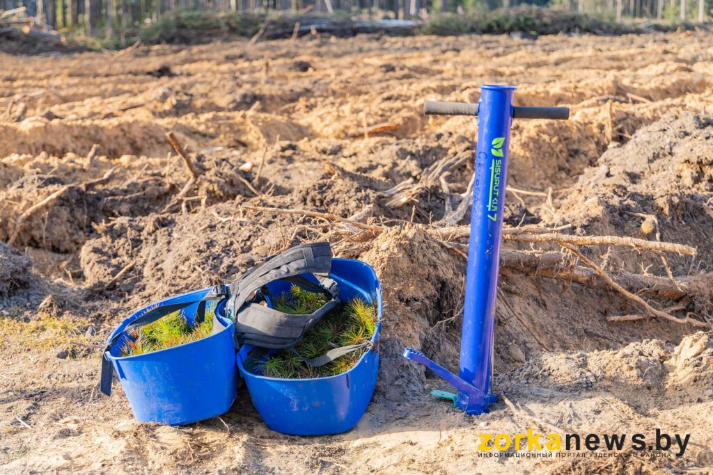 оборудование для посадки саженцев