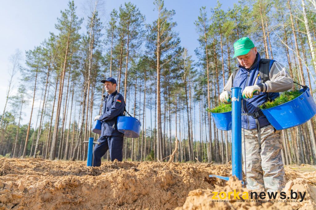 Председатель и прокурор