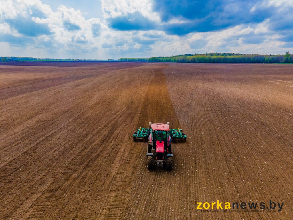 Передовики 2026: какие результаты на посевной показывают аграрии Узденщины