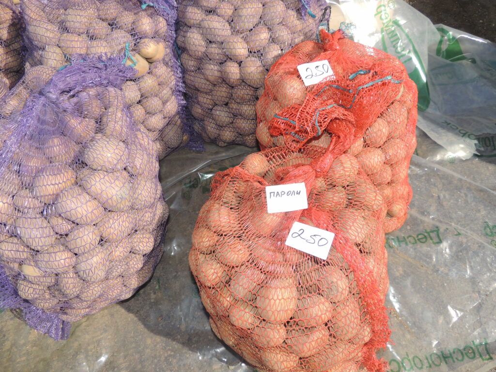 картофель на рынке