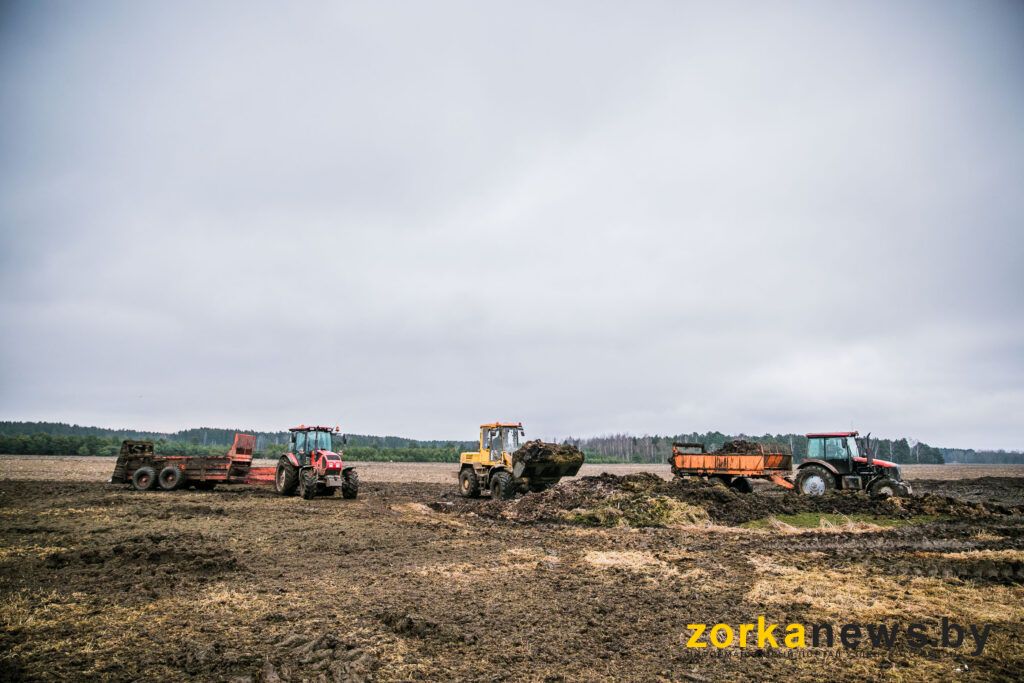 посевная Узденский район