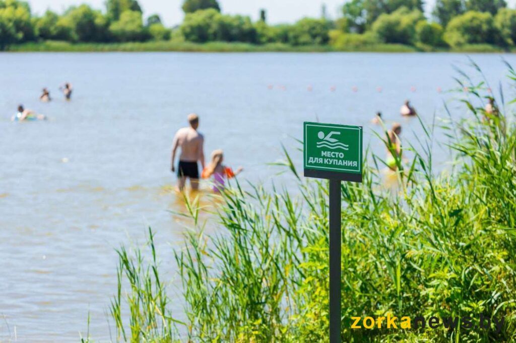 Где можно купаться в Узденском районе в 2026 году — список официальных пляжей