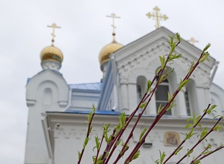 Когда будут освящать вербу в церкви Узды