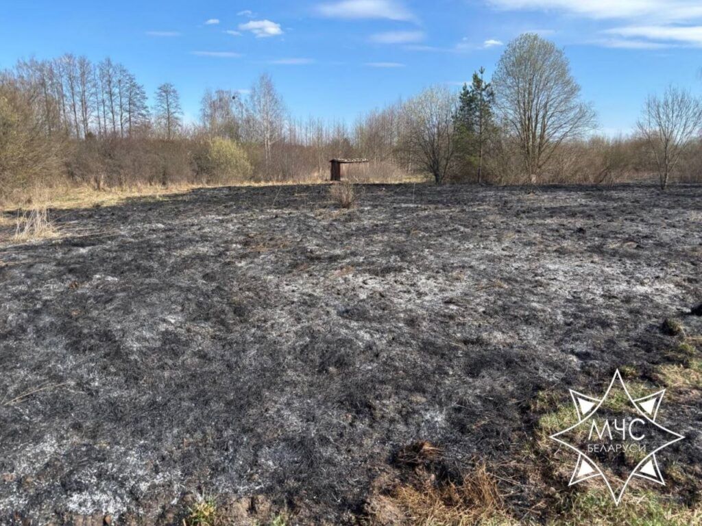Пожар в садовом товариществе «Ангел»: выгорело 400 квадратов сухой травы