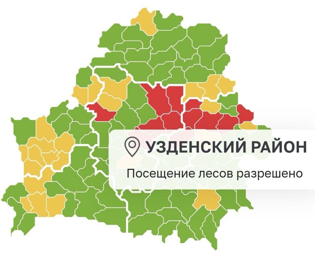 В Узденском районе снят запрет на посещение лесов