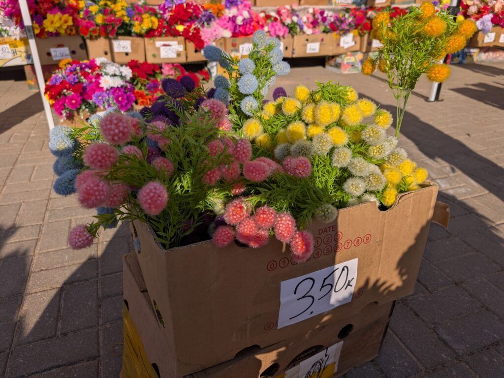 пластиковые цветы