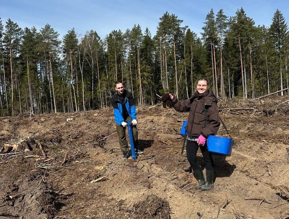 Активисты «Белой Руси» присоединились к посадке леса в Узденском районе