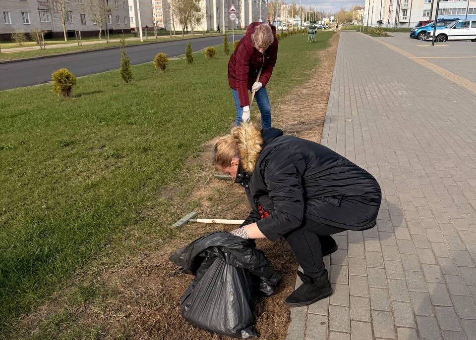 прополка клумб