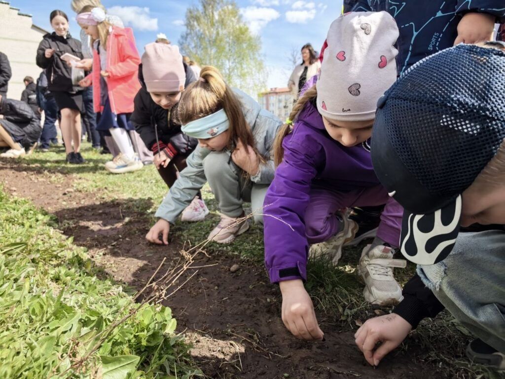 дети садят подсолнухи