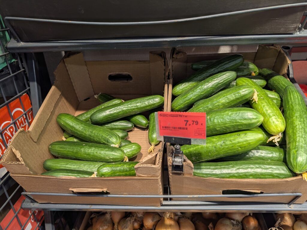 свежие огурцы