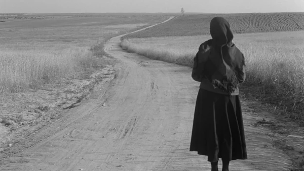 Генная память матерей: как война прошлых лет влияет на современных женщин