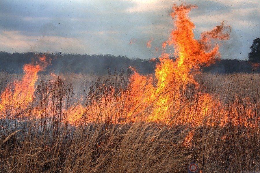 11 случай за сезон. В Узденском районе горит сухая растительность