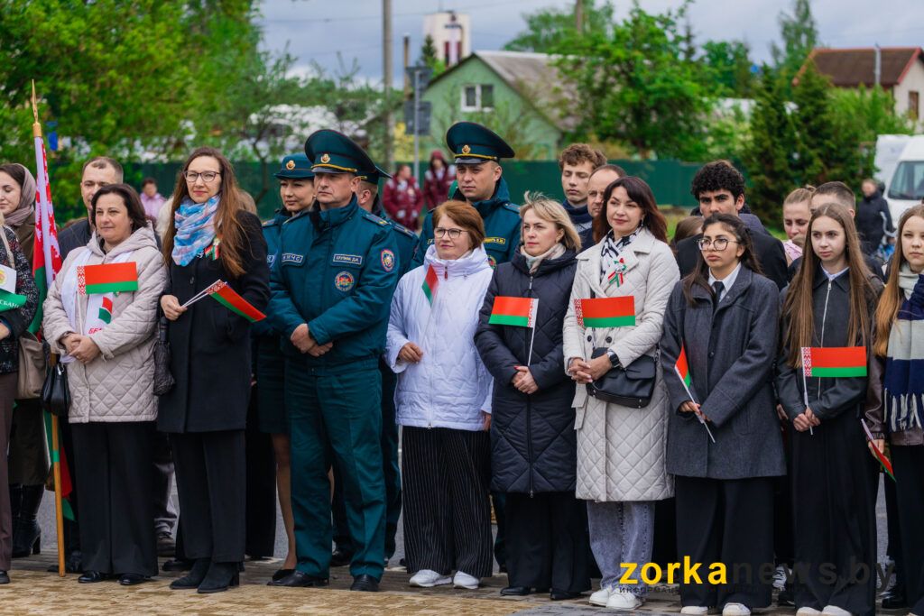 представители организаций