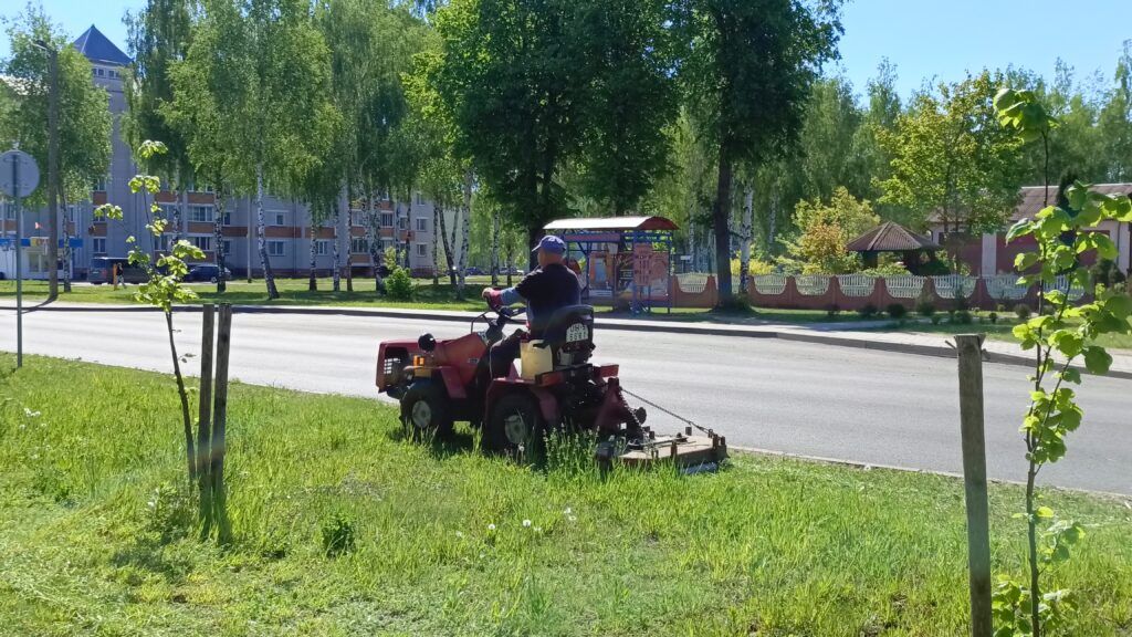 Косилки в деле: как проходит сезон покоса травы в Узде