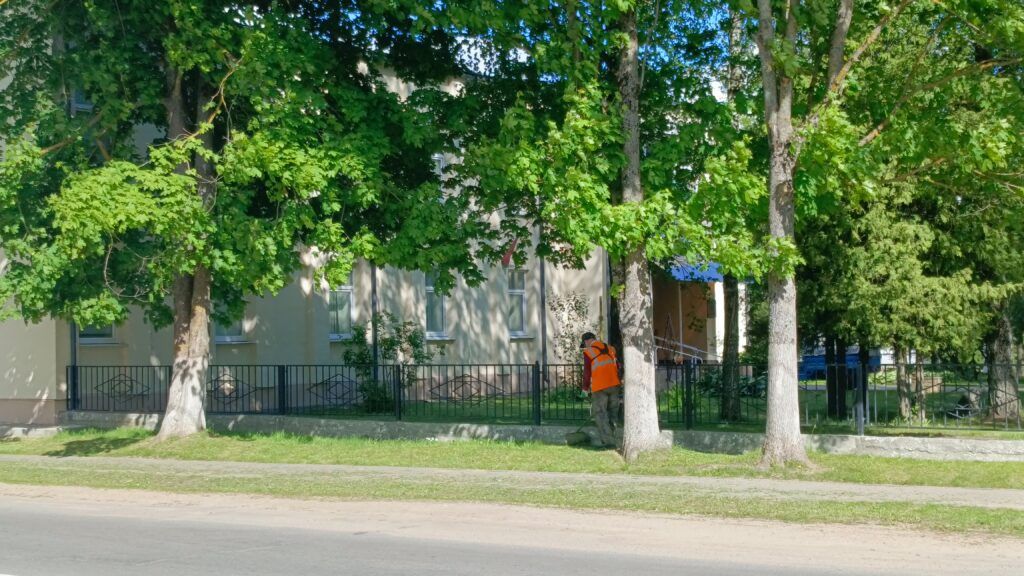 В Узде продолжается плановая косьба травы