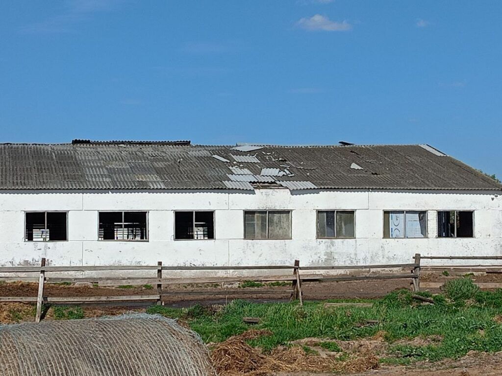 Какие нарушения выявила прокуратура на одном из сельхозпредприятий Узденского района