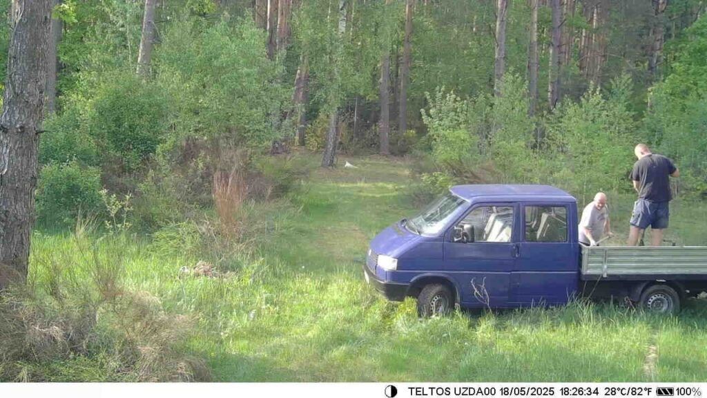 Фотоловушка помогла поймать нарушителей: свалка в лесу под Уздой ликвидирована