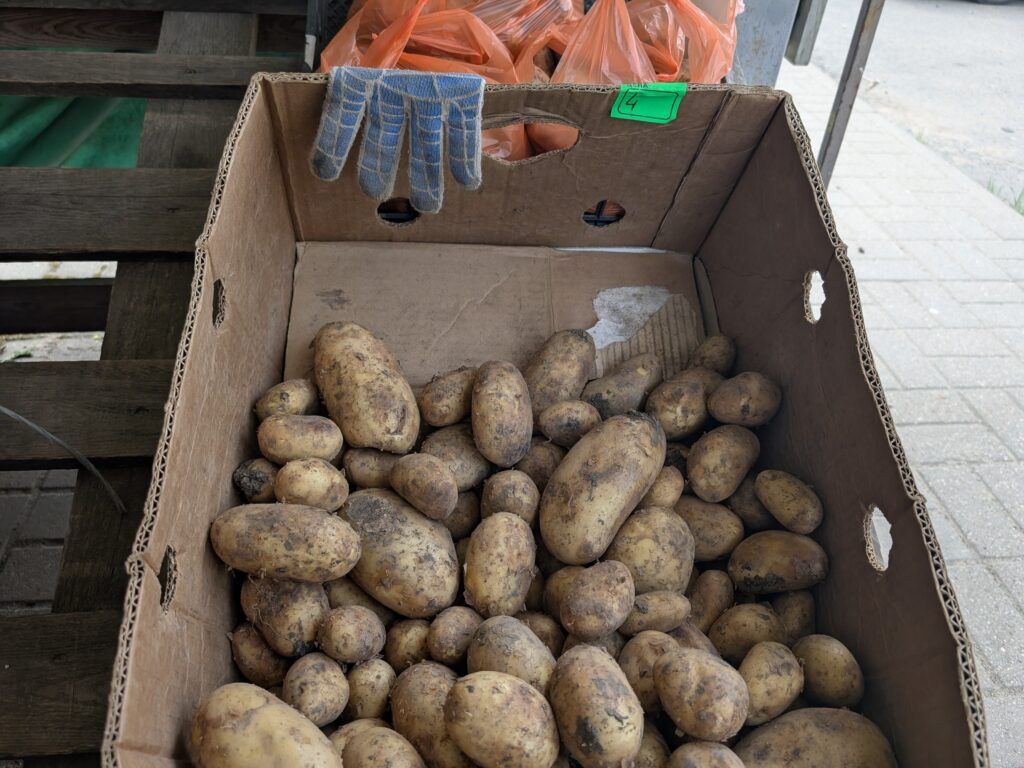 картошка