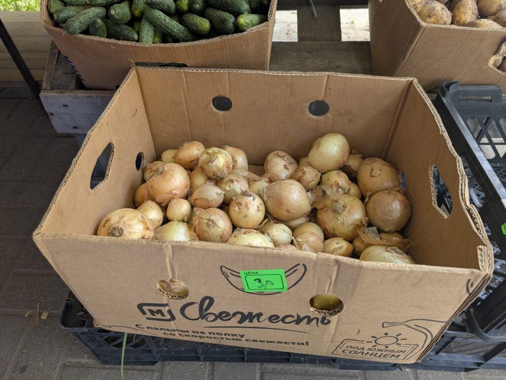 лук