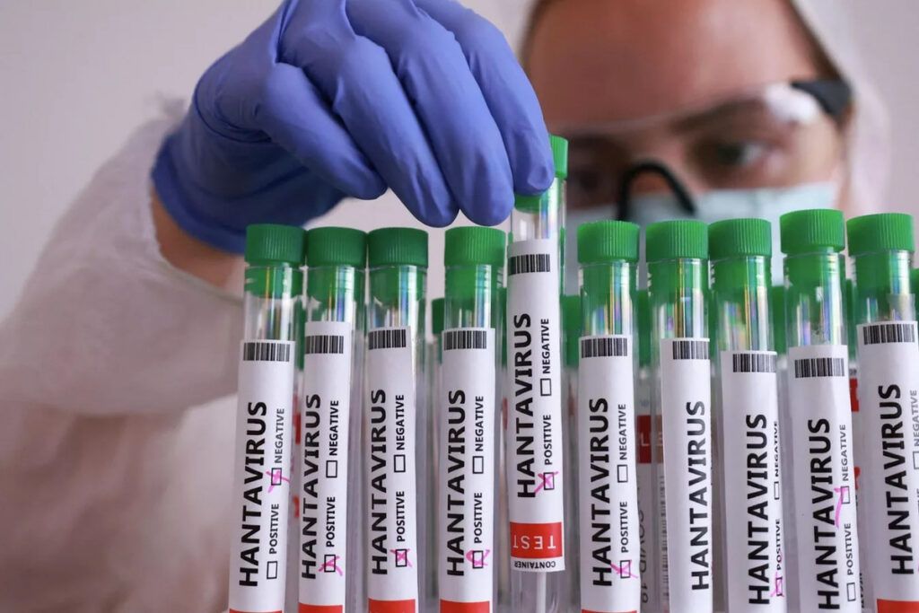 Жителям Узды больше угрожает клещевой энцефалит нежели хантавирус