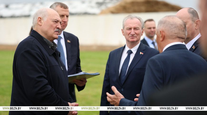 Что показали Президенту на комплексе «БелИнтерГен-агро» в Узденском районе