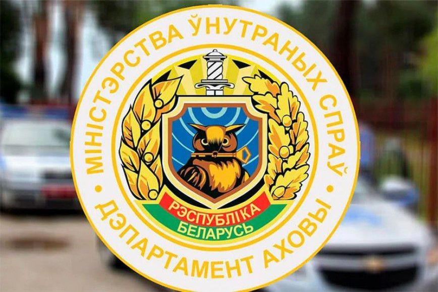 Требования к охранной деятельности в Беларуси: что проверяет Департамент охраны МВД